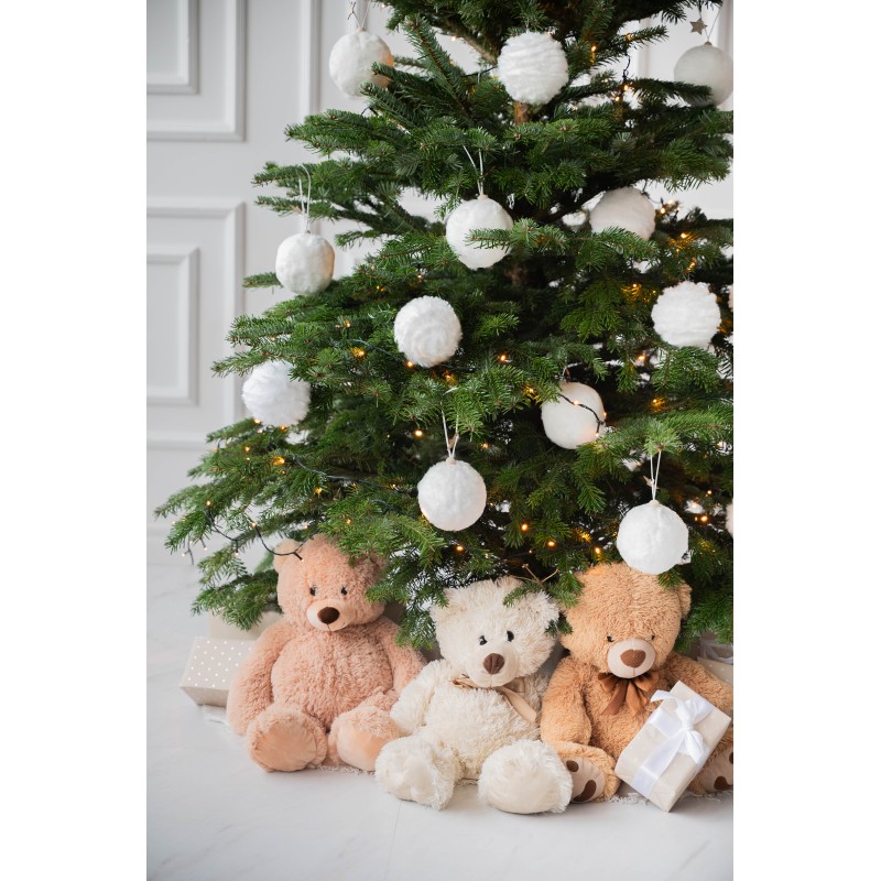 Kaukazinis kėnis vazone 160-210cm