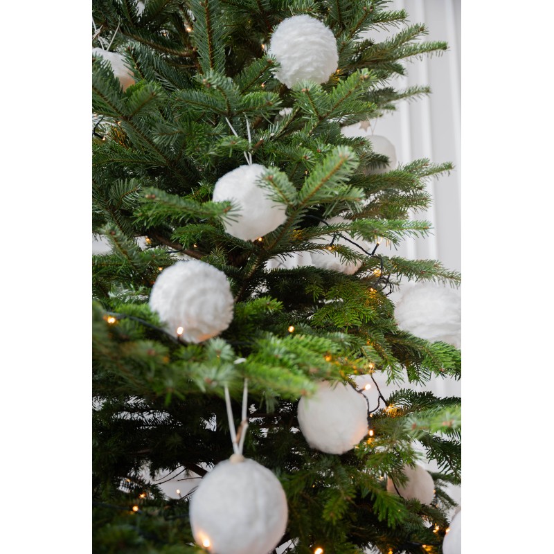 Kaukazinis kėnis vazone 160-210cm