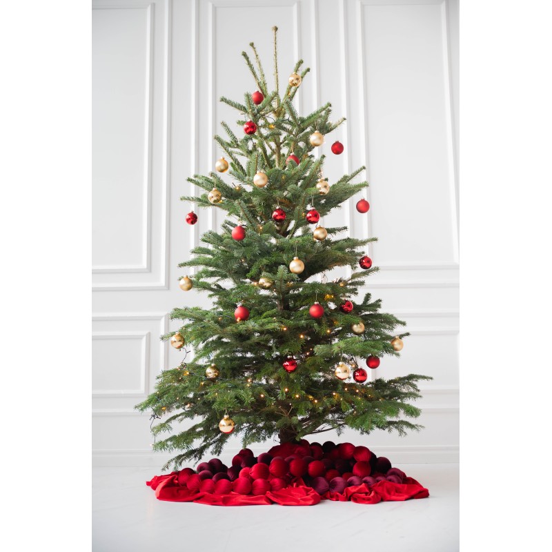 Kirstas daniškas kėnis 175-200 cm