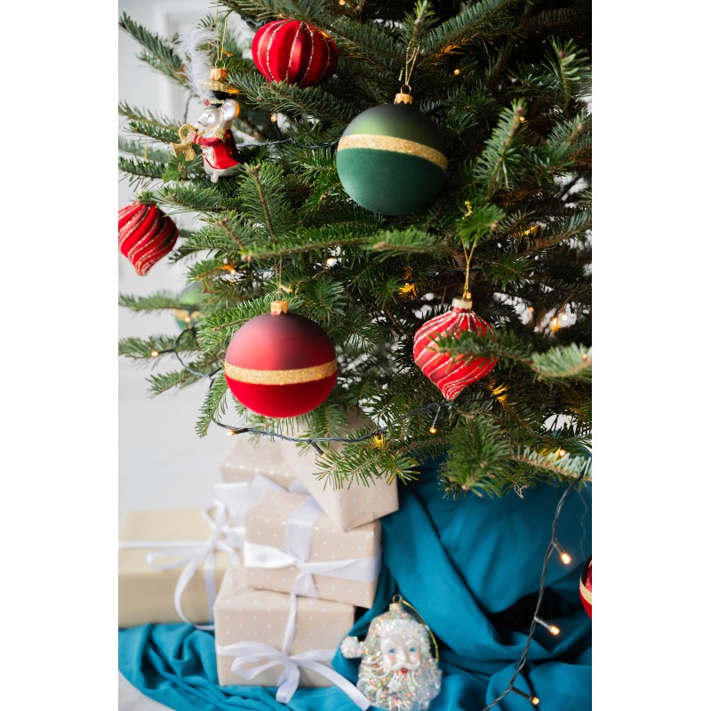 Kėnis vazone 160-210 cm