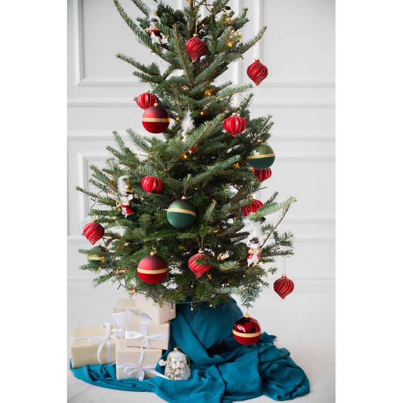 Kėnis vazone 160-210 cm