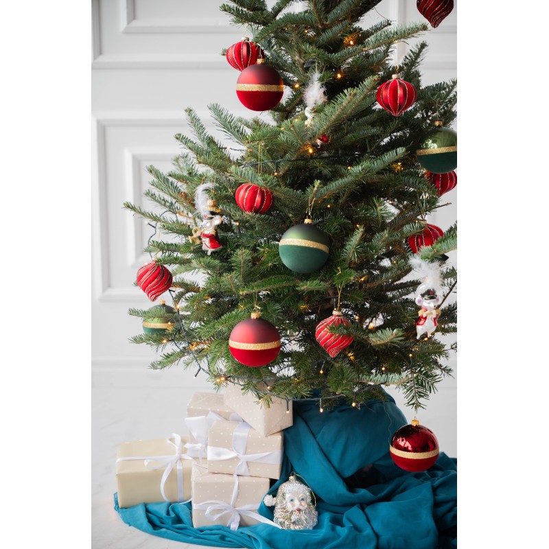 Kėnis vazone 160-210 cm