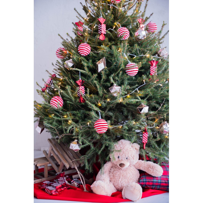 Kirsta lietuviška eglutė 150-180 cm (TIK Vilniuje ir Klaipėdoje)