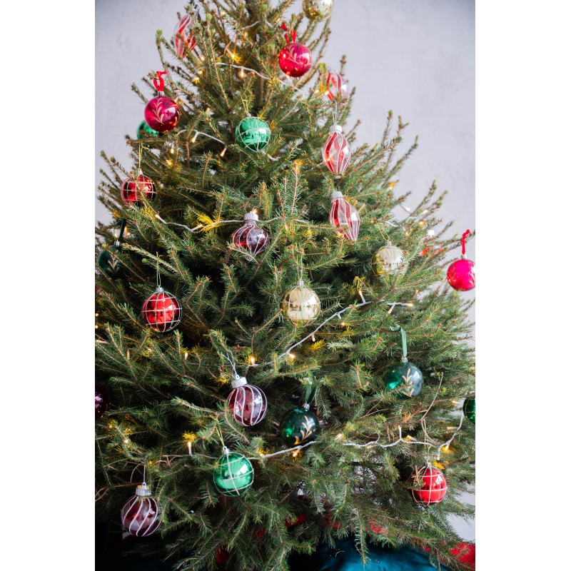 Lietuviška eglutė vazone 160-210 cm