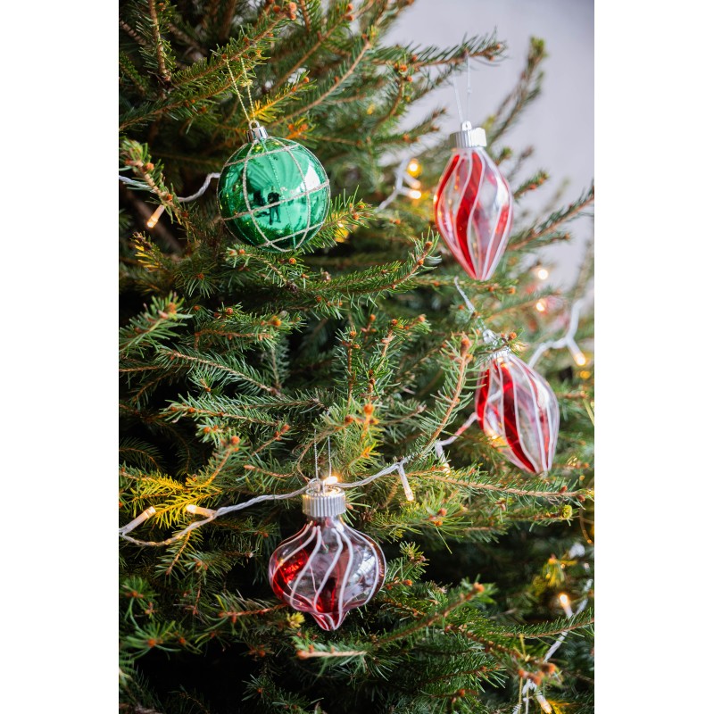 Lietuviška eglutė vazone 160-210 cm