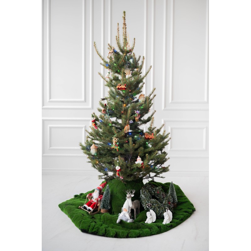 Sidabrinė eglutė vazone 160-210 cm