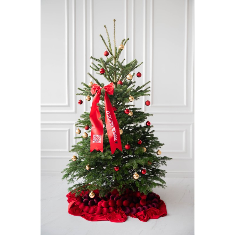 Kirstas daniškas kėnis 200-250 cm