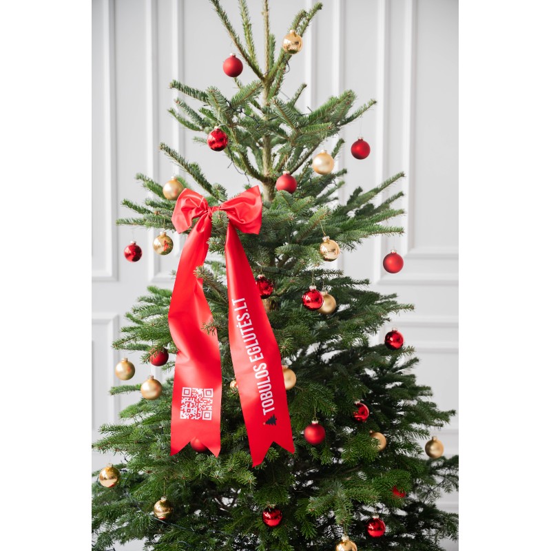 Kirstas daniškas kėnis 200-250 cm