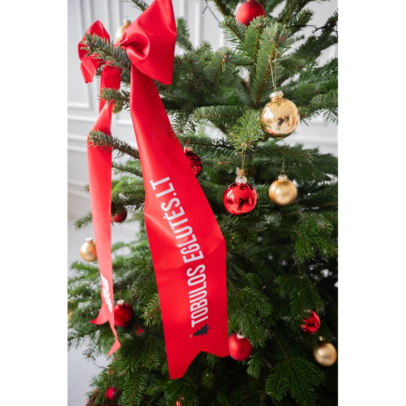 Kirstas daniškas kėnis 200-250 cm